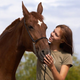 Illustration for article titled Caring for Your Pet Horse